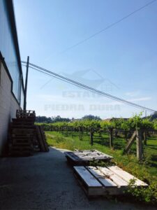 Se vende 2 casas con nave