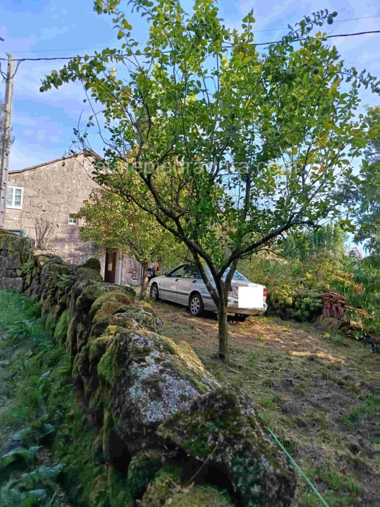 Laxoso-de-Abaixo-Ponte-Candela1